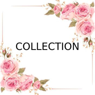collection